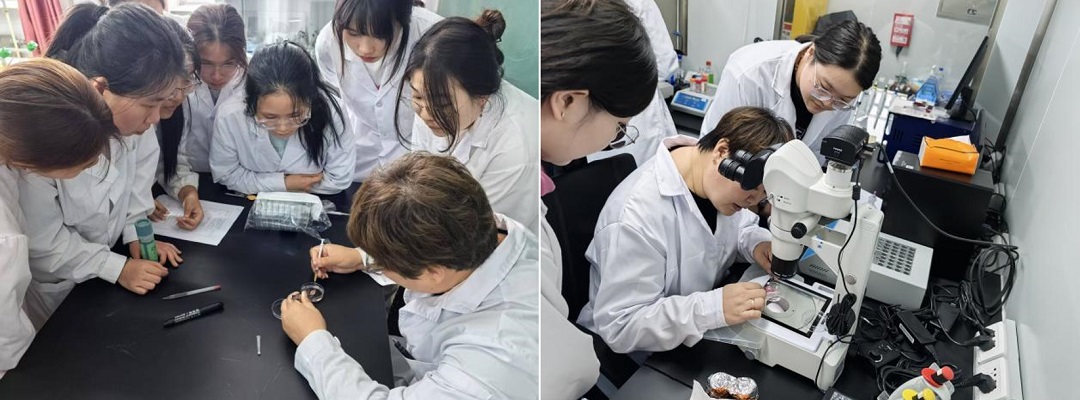 学术成就
