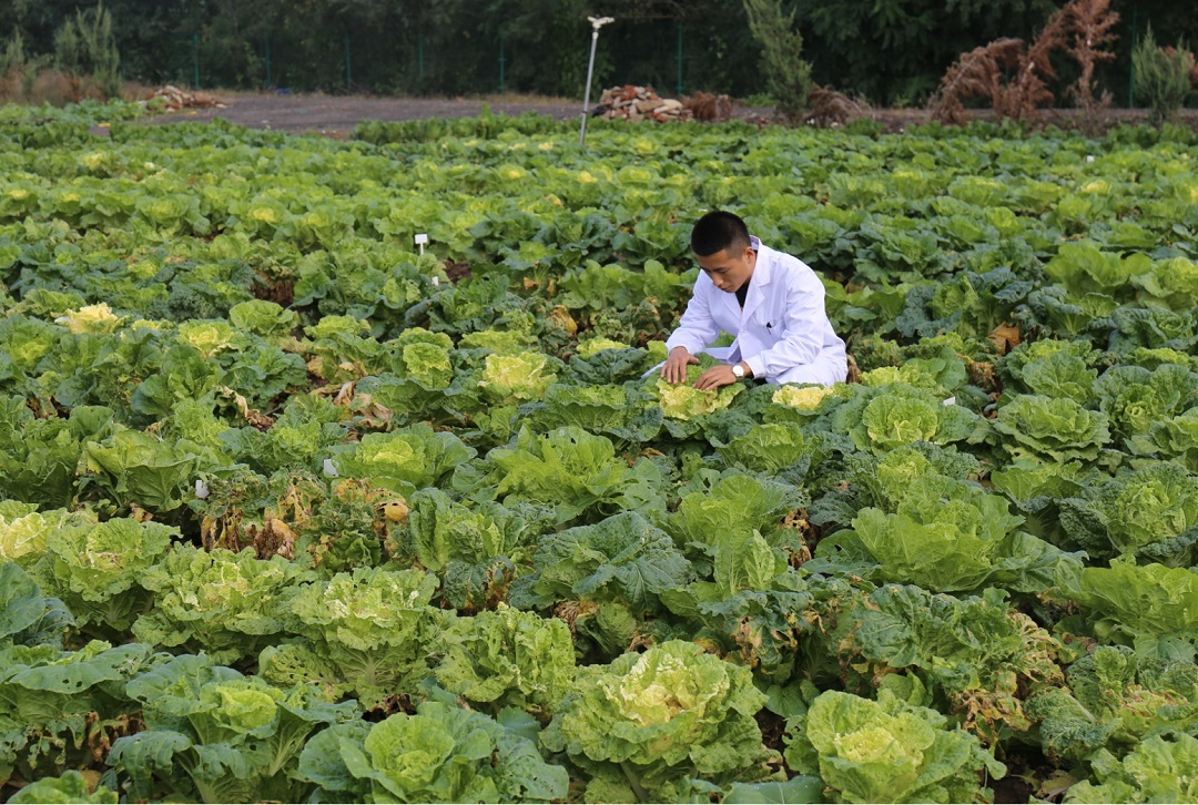 学术成就