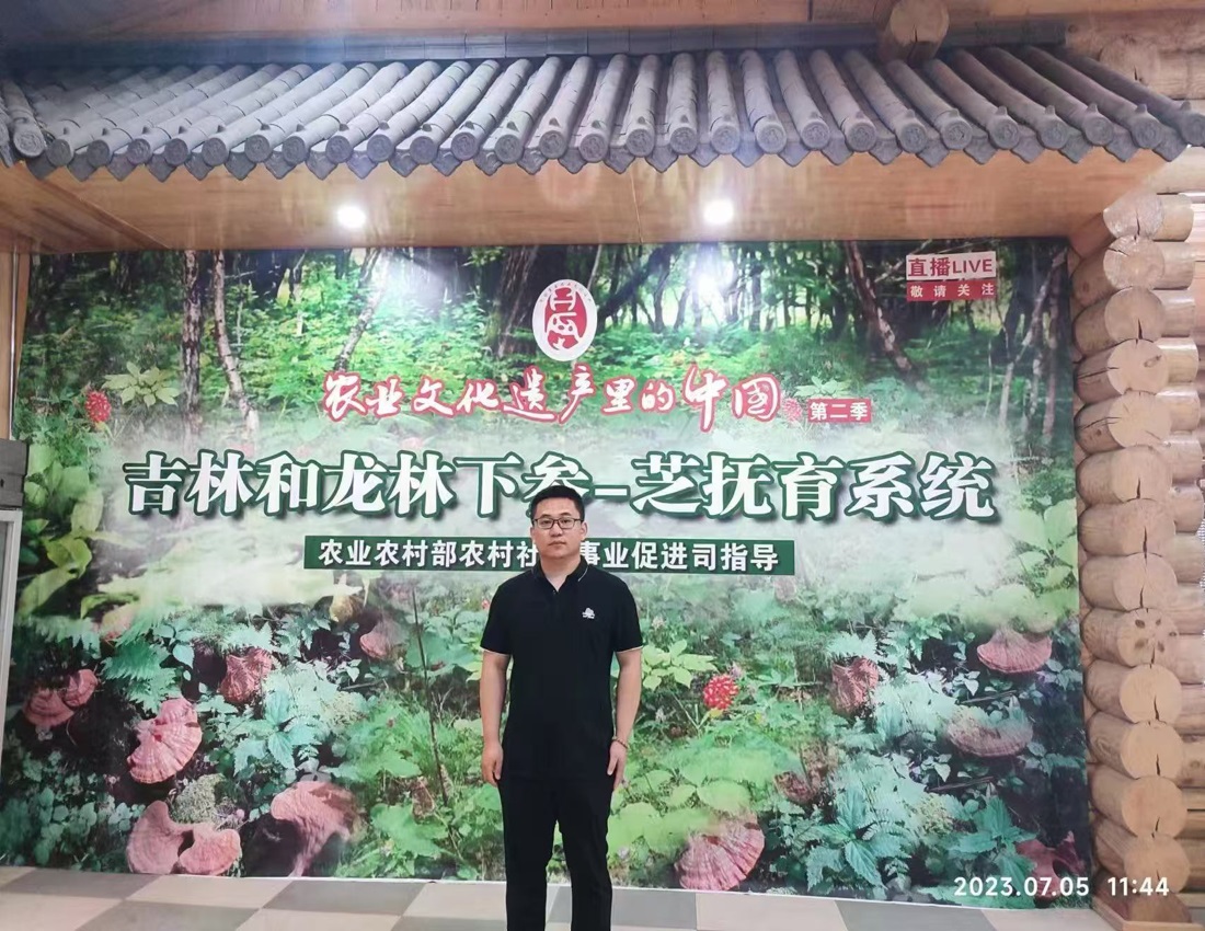 到和龙市林下参-灵芝孵育基地考察