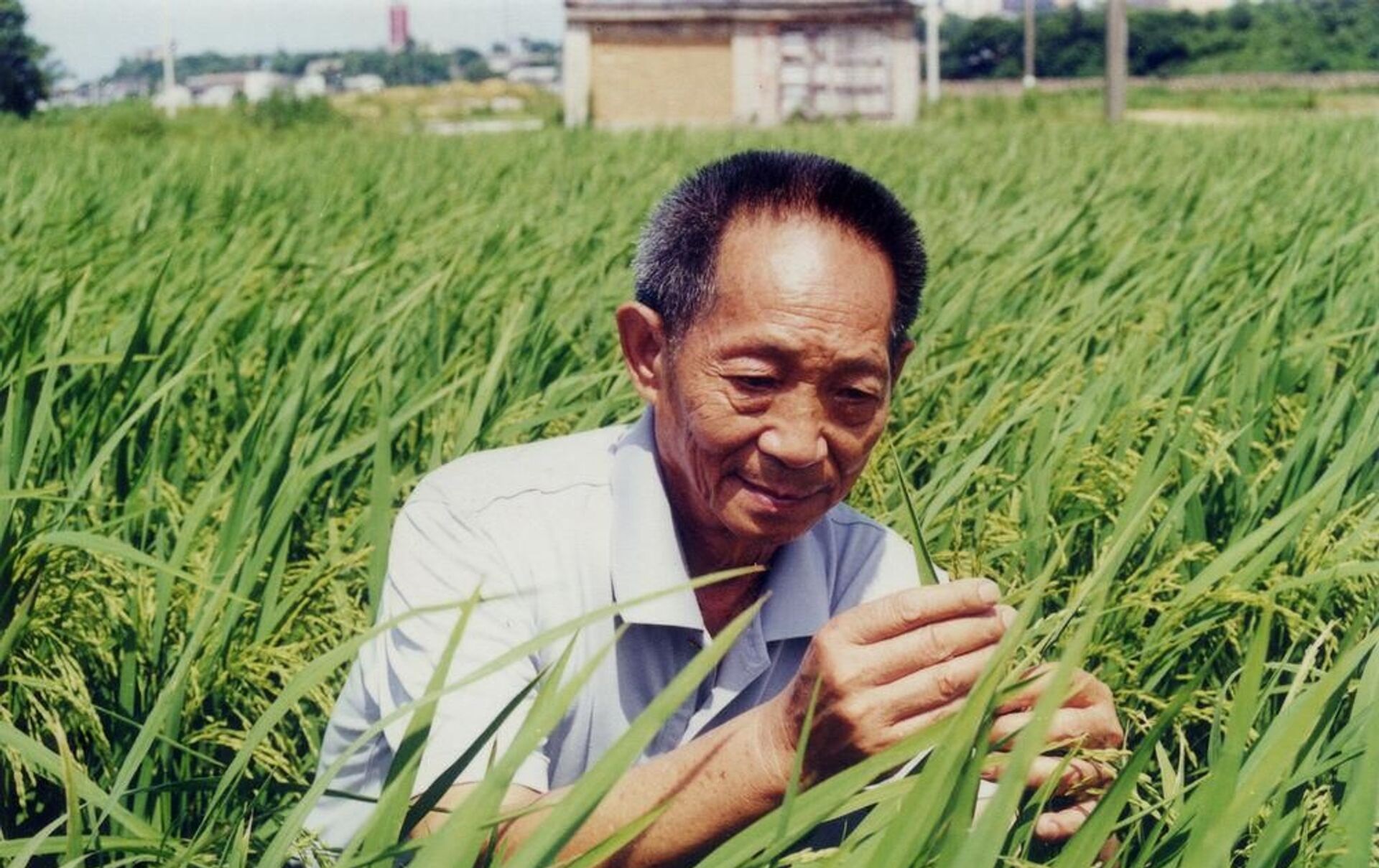 袁隆平